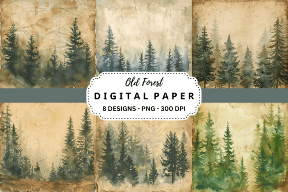 Embrace the Woodland Aesthetic: Old Forest Backgrounds